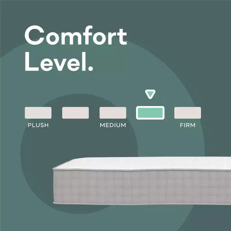 Signature Sleep Dream On 8 Pocket Spring Mattress